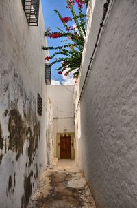 Narrow alley amidst buildings