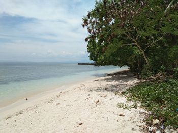 Scenic view of beach against sky