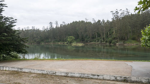 Scenic view of river in forest against sky