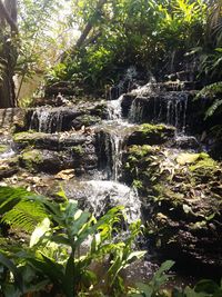 Close-up of waterfall against trees