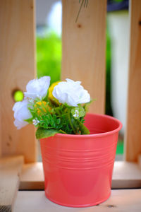 Close-up of potted plant on table