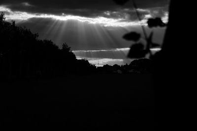 Silhouette of trees at sunset