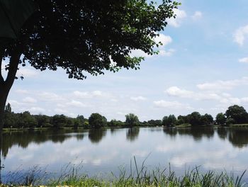 Reflection of trees in lake