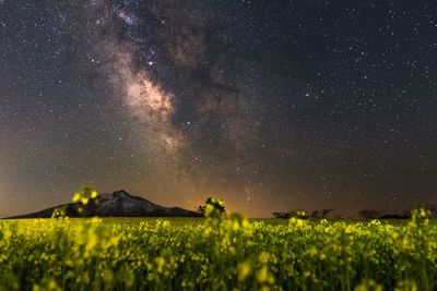 Tranquil view of grassy landscape against glowing stars in sky