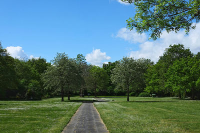 Scenic view of park against sky