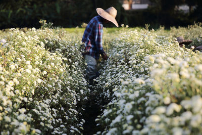 Full length of man with flowers on field