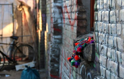 Flower pots on window
