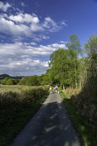 Road amidst trees on field against sky