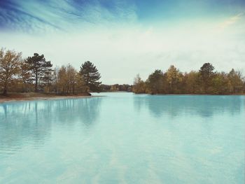 Reflection of trees in water
