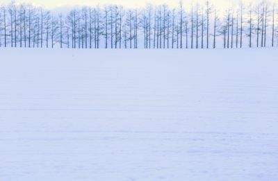 Scenic view of snow covered field