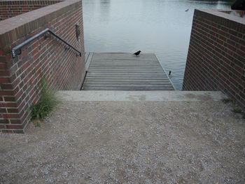 High angle view of pigeons on water