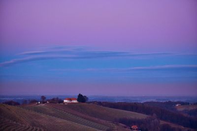 Scenic view of vineyards against sky during sunset