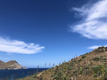 Scenic view of landscape against blue sky