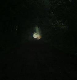 View of illuminated trees in the dark