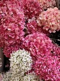 Close-up of pink flower bouquet