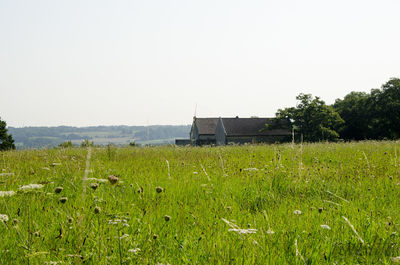 Scenic view of field against clear sky