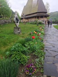 Flowers in front of built structure