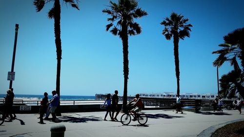 People on palm tree against sky