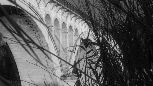Reflection of man on building wall