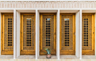 Potted plant against old yellow door