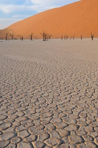 Scenic view of desert