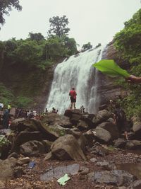 Scenic view of waterfall in forest