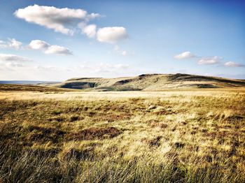 Scenic view of landscape against sky