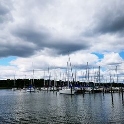 Sailboats moored at harbor against sky