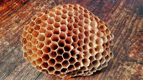 Close-up of dry honeycomb on wooden table