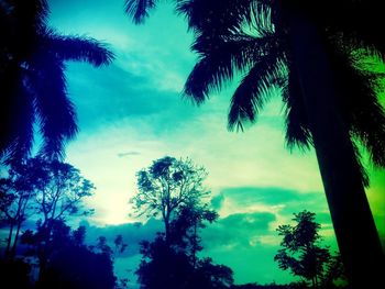 Low angle view of trees against sky