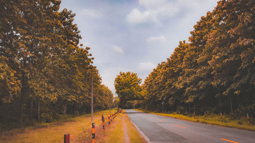 Road amidst trees against sky during autumn