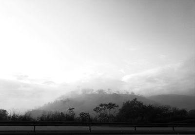 Silhouette trees on landscape against sky