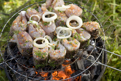 High angle view of fish on barbecue