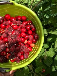 High angle view of strawberries in bowl