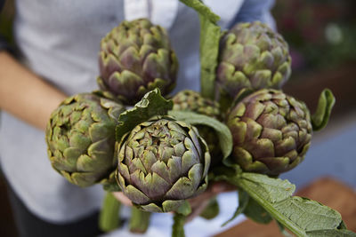 Person holding artichokes