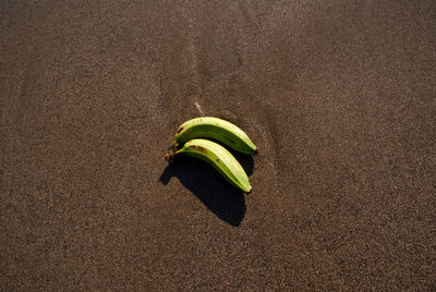 High angle view of banana on sand beach