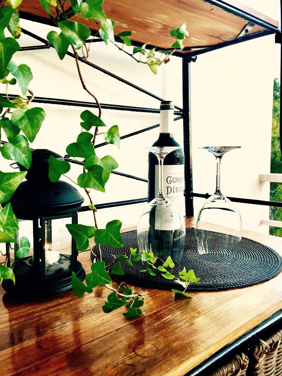 table, indoors, leaf, no people, lighting equipment, plant, green color, wood - material, hanging, day, lantern, growth, close-up, freshness, nature