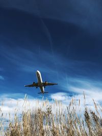Low angle view of airplane flying against sky