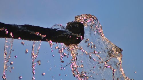 Low angle view of plants against clear blue sky