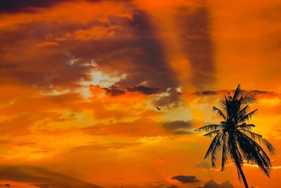 Low angle view of silhouette coconut palm tree against dramatic sky