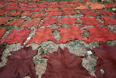 High angle view of dyed fabrics drying on field
