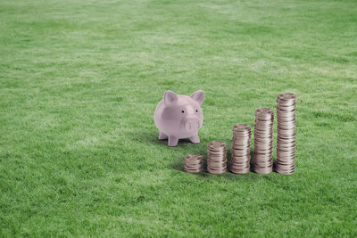 Hay bales in a field