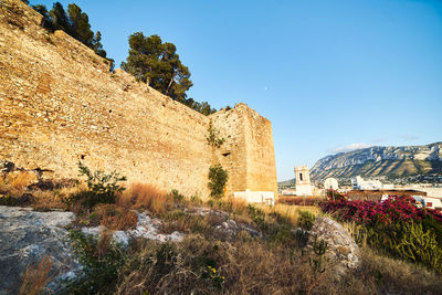 Plants growing on mountain against clear blue sky