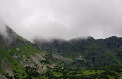 environment