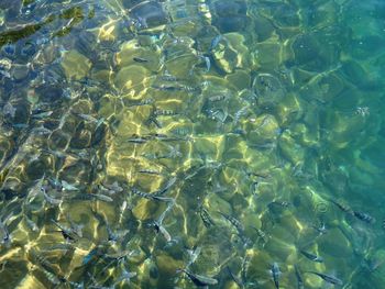 Full frame shot of swimming pool