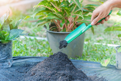 Preparation of soil mixture from fertile compost, humus and vermiculite on black garbage bag floor 