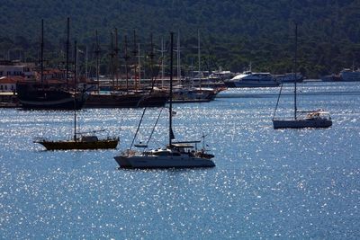 Sailboats sailing in blue sea