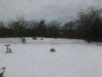 Snow covered landscape