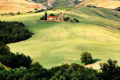 Houses on field