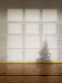 Shadow of windows and christmas tree on brick wall of gymnasium